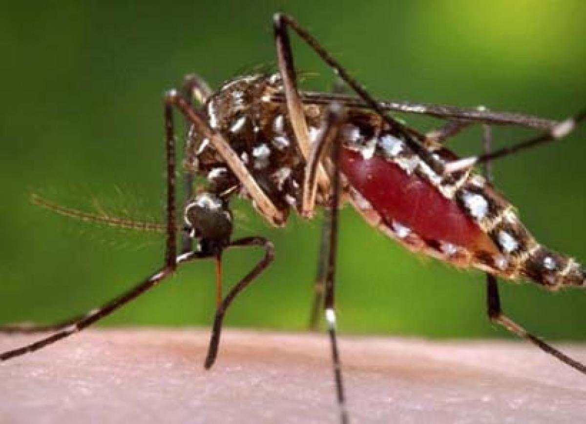 AP Govt to spread awareness about Zika virus